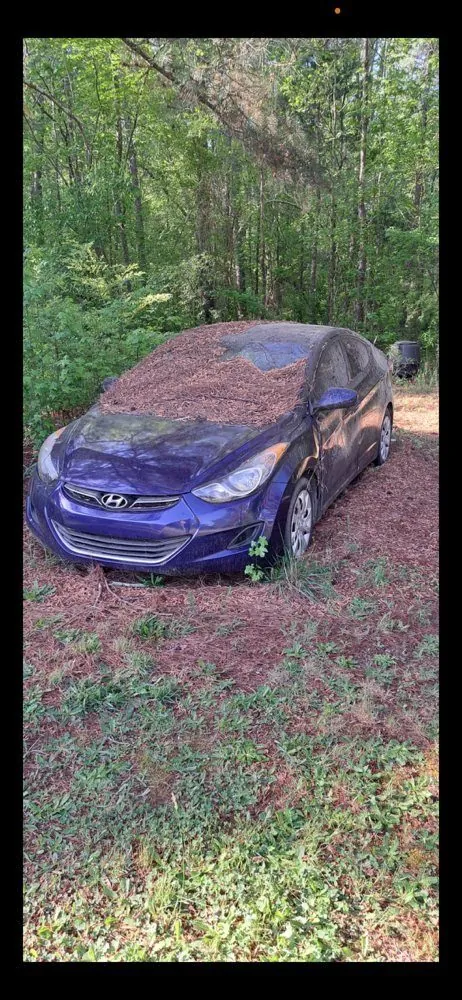 A junk car in tall grass before removal